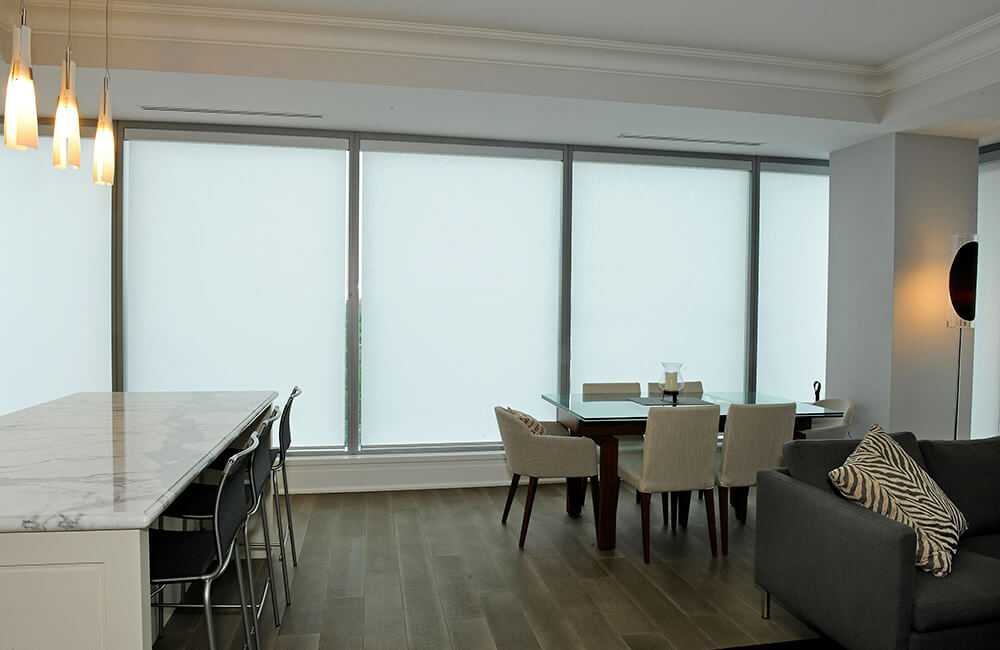 Privacy Roller Shades